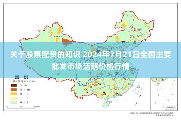 关于股票配资的知识 2024年7月21日全国主要批发市场活鹅价格行情