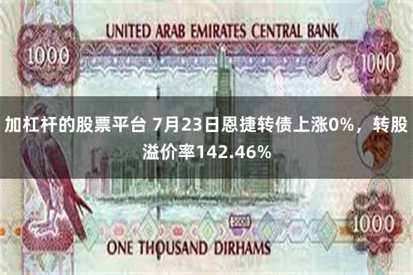 加杠杆的股票平台 7月23日恩捷转债上涨0%，转股溢价率142.46%