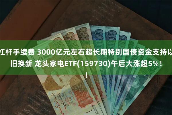 杠杆手续费 3000亿元左右超长期特别国债资金支持以旧换新 龙头家电ETF(159730)午后大涨超5%！