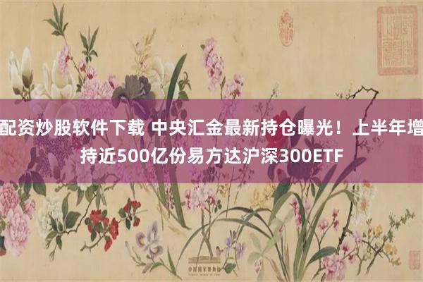 配资炒股软件下载 中央汇金最新持仓曝光！上半年增持近500亿份易方达沪深300ETF