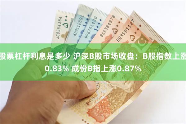 股票杠杆利息是多少 沪深B股市场收盘：B股指数上涨0.83% 成份B指上涨0.87%