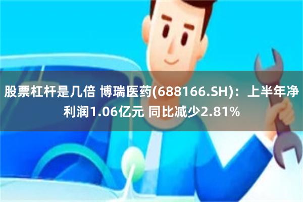 股票杠杆是几倍 博瑞医药(688166.SH)：上半年净利润1.06亿元 同比减少2.81%