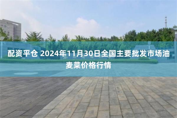 配资平仓 2024年11月30日全国主要批发市场油麦菜价格行情