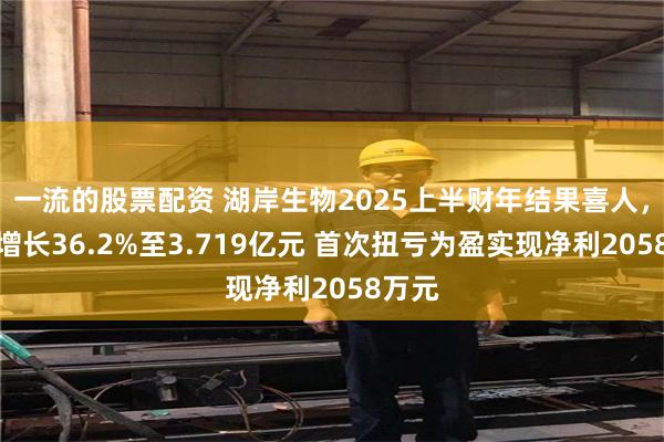 一流的股票配资 湖岸生物2025上半财年结果喜人，营收增长36.2%至3.719亿元 首次扭亏为盈实现净利2058万元