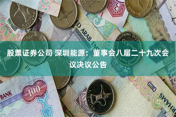 股票证券公司 深圳能源：董事会八届二十九次会议决议公告