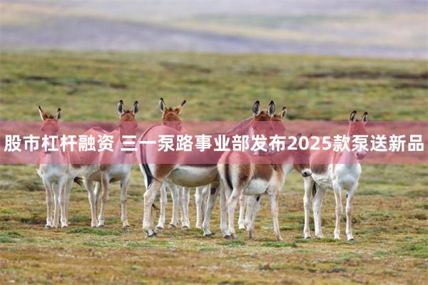 股市杠杆融资 三一泵路事业部发布2025款泵送新品