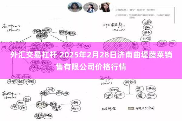 外汇交易杠杆 2025年2月28日济南曲堤蔬菜销售有限公司价格行情