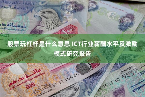 股票玩杠杆是什么意思 ICT行业薪酬水平及激励模式研究报告